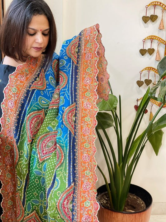 Green, Blue Chinon Dupatta with Aari Embroidery - Masakalee