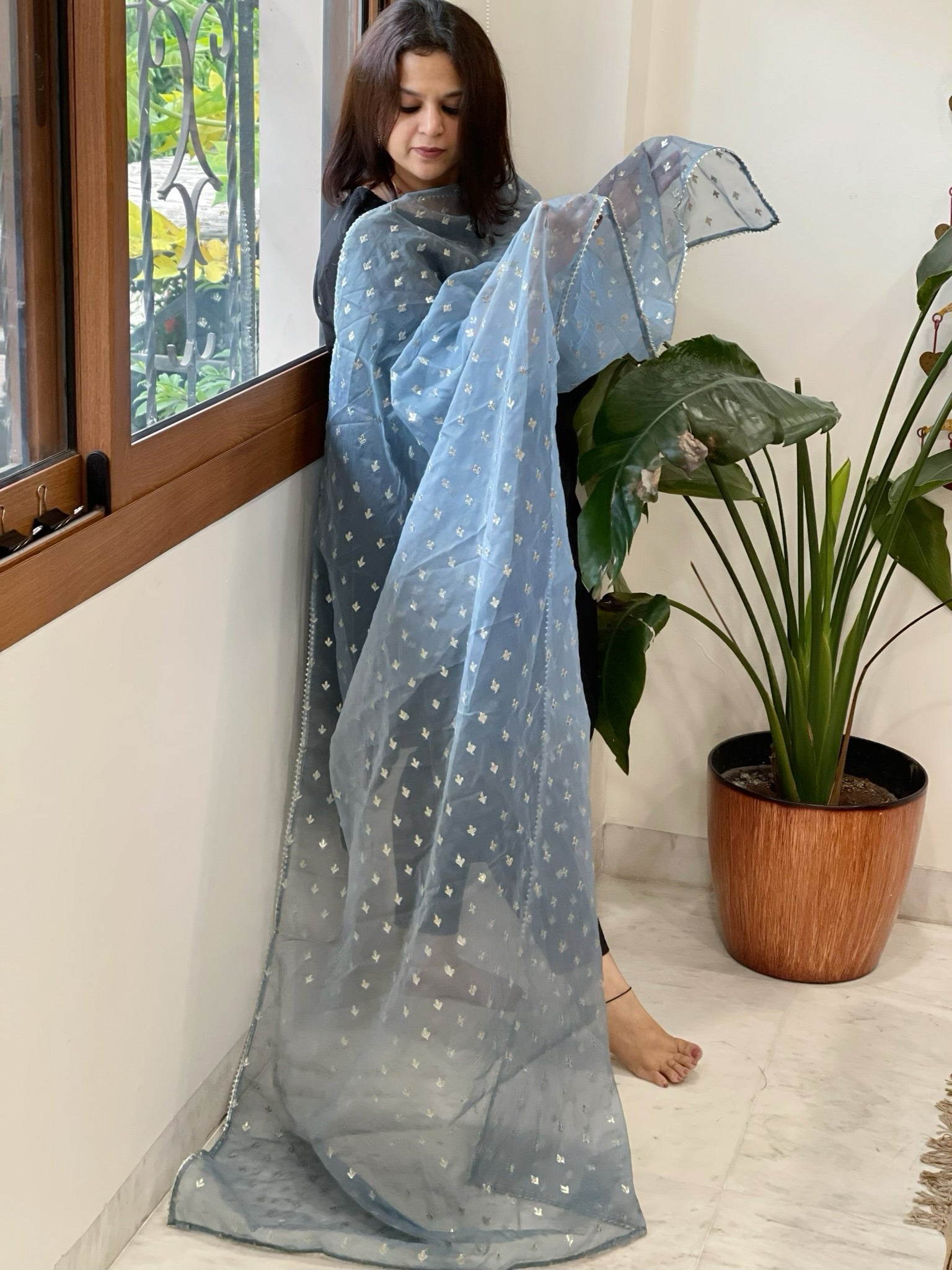 Grey Organza Dupatta with Pitta Work Butas and Gota Lace Border - Masakalee