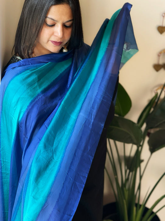 Handpainted Dupatta in Pure Silk - Masakalee