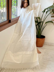 Handwoven Chanderi Dupatta with Self Design - Masakalee