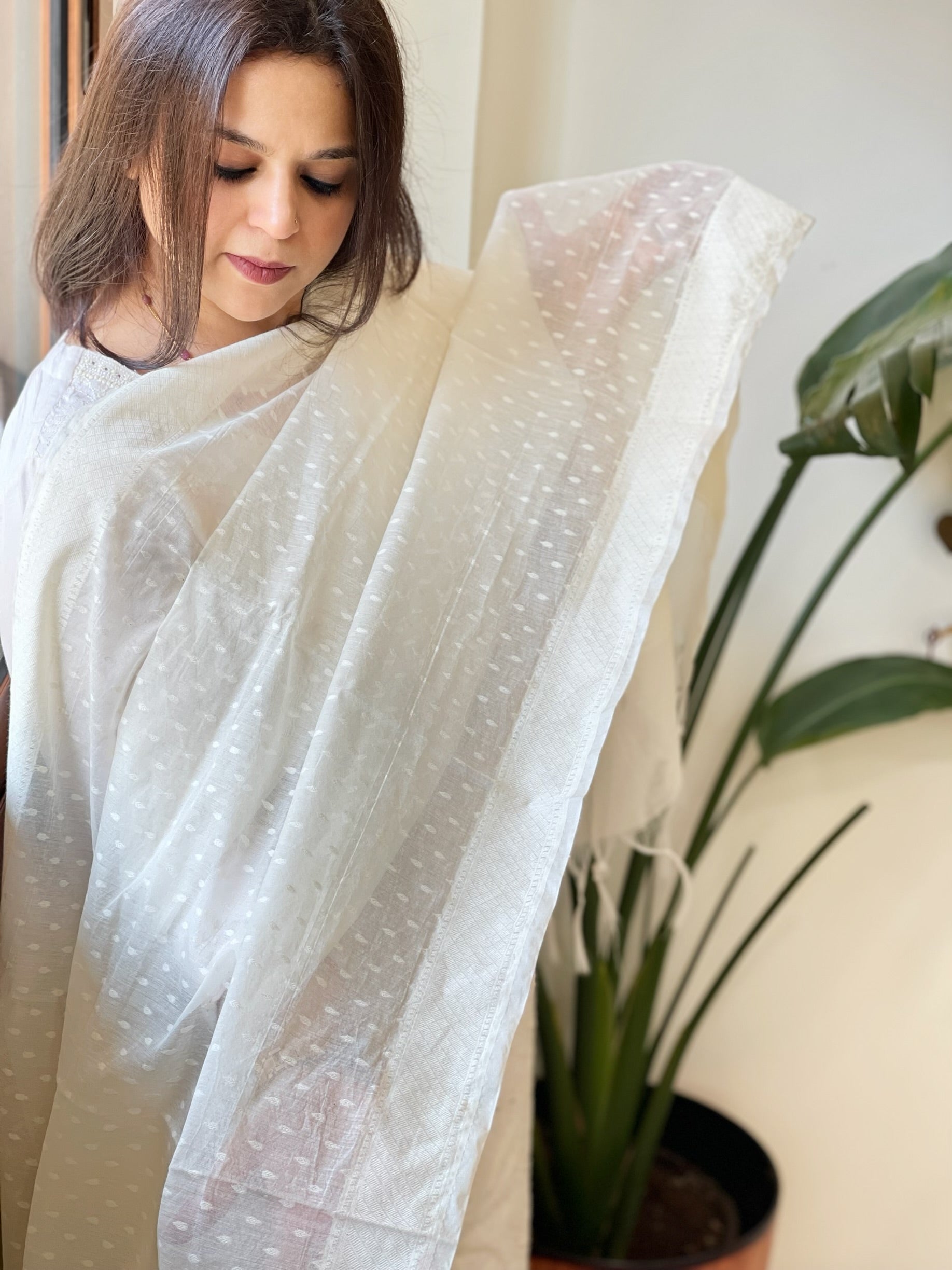 Handwoven Chanderi Dupatta with Self Design - Masakalee