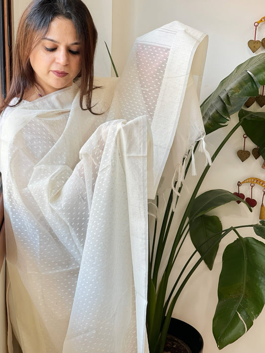 Handwoven Chanderi Dupatta with Self Design - Masakalee