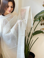 Handwoven Chanderi Dupatta with Self Design - Masakalee