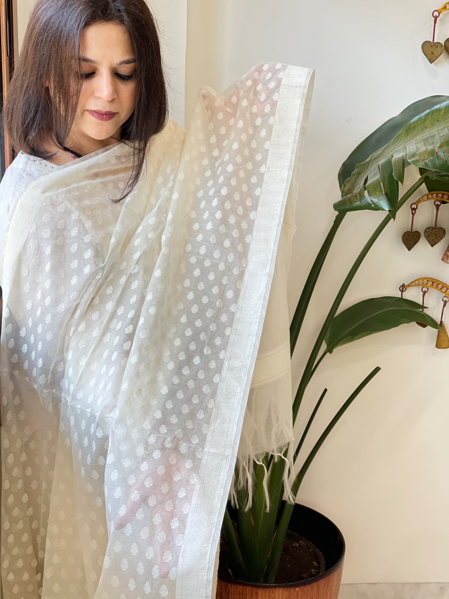 Handwoven Chanderi Dupatta with Self Design - Masakalee