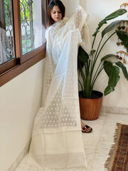 Handwoven Chanderi Dupatta with Self Design - Masakalee