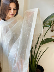 Handwoven Chanderi Dupatta with Self Design - Masakalee