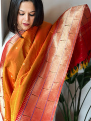 Handwoven Triple Zari Border Paithani Dupatta in Pure Silk - Masakalee