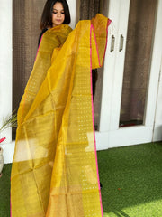 Handwoven Zari & Sequin Weaving Dupatta in Pure Silk - Masakalee