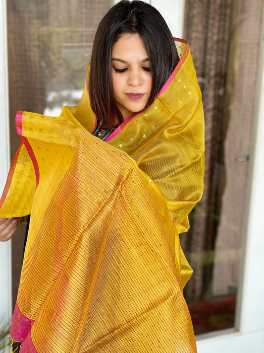 Handwoven Zari & Sequin Weaving Dupatta in Pure Silk - Masakalee