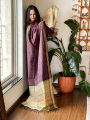 Cola Handwoven Ikat Dupatta Pure Silk-Cotton