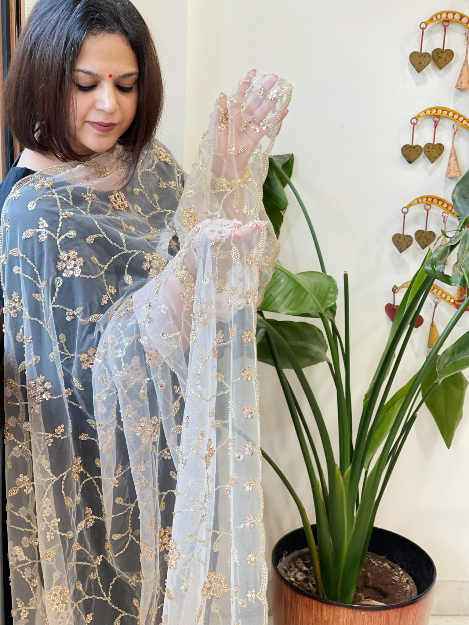 Ivory Net Dupatta with Sequin and Cut Daana Embroidery - Masakalee