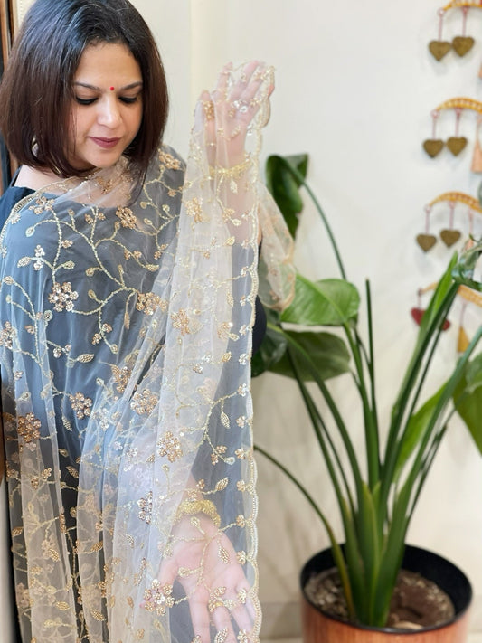 Ivory Net Dupatta with Sequin and Cut Daana Embroidery - Masakalee