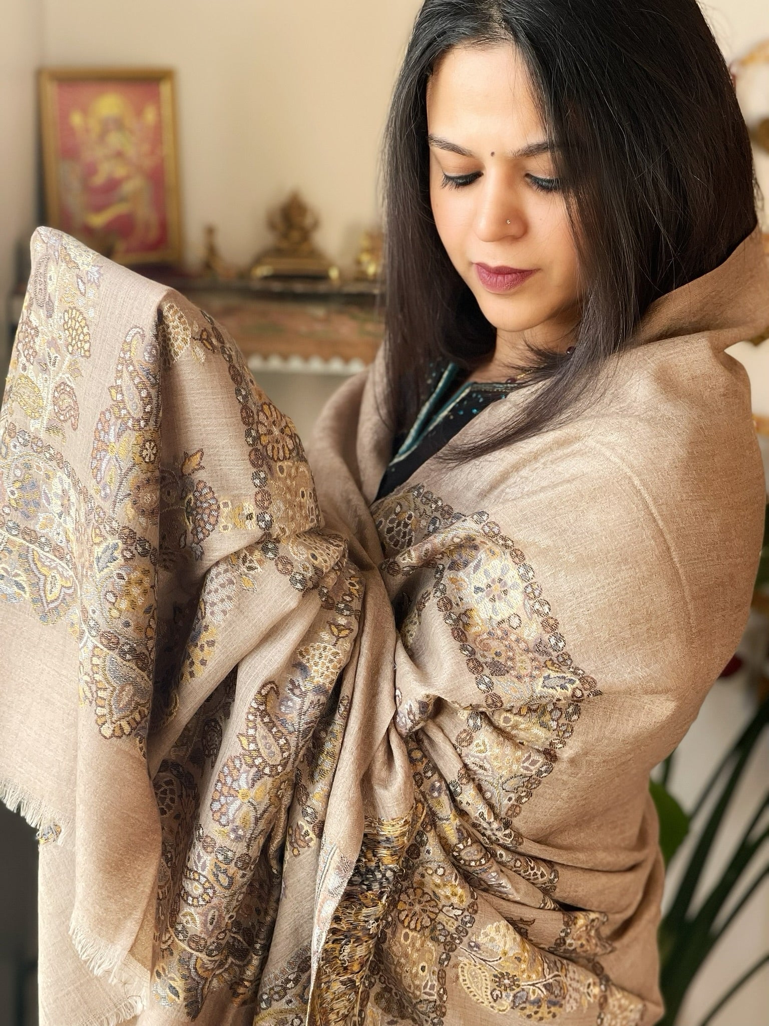 Lite Brown Woven Pashmina Shawl with Self and Kaani Pallu - Masakalee