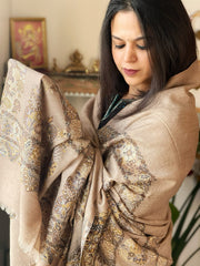 Lite Brown Woven Pashmina Shawl with Self and Kaani Pallu - Masakalee