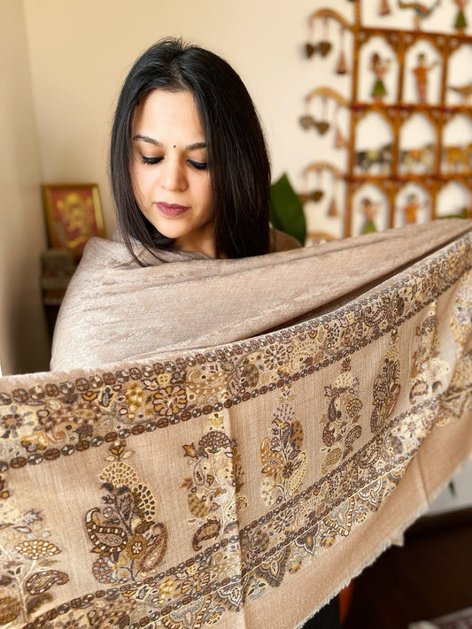 Lite Brown Woven Pashmina Shawl with Self and Kaani Pallu - Masakalee
