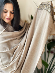 Lite Brown Woven Pashmina Shawl with Self and Kaani Pallu - Masakalee