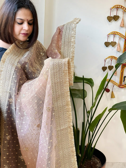 Lite Onion Pink Crushed Tissue Dupattas with Cut Daana, Sequin Work and Gota Border - Masakalee