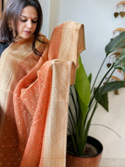 Lite Orange Woven Banarasi Dupatta in Tissue - Masakalee