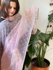 Lite Pink Organza Dupatta with Pitta Work Butas and Gota Lace Border - Masakalee