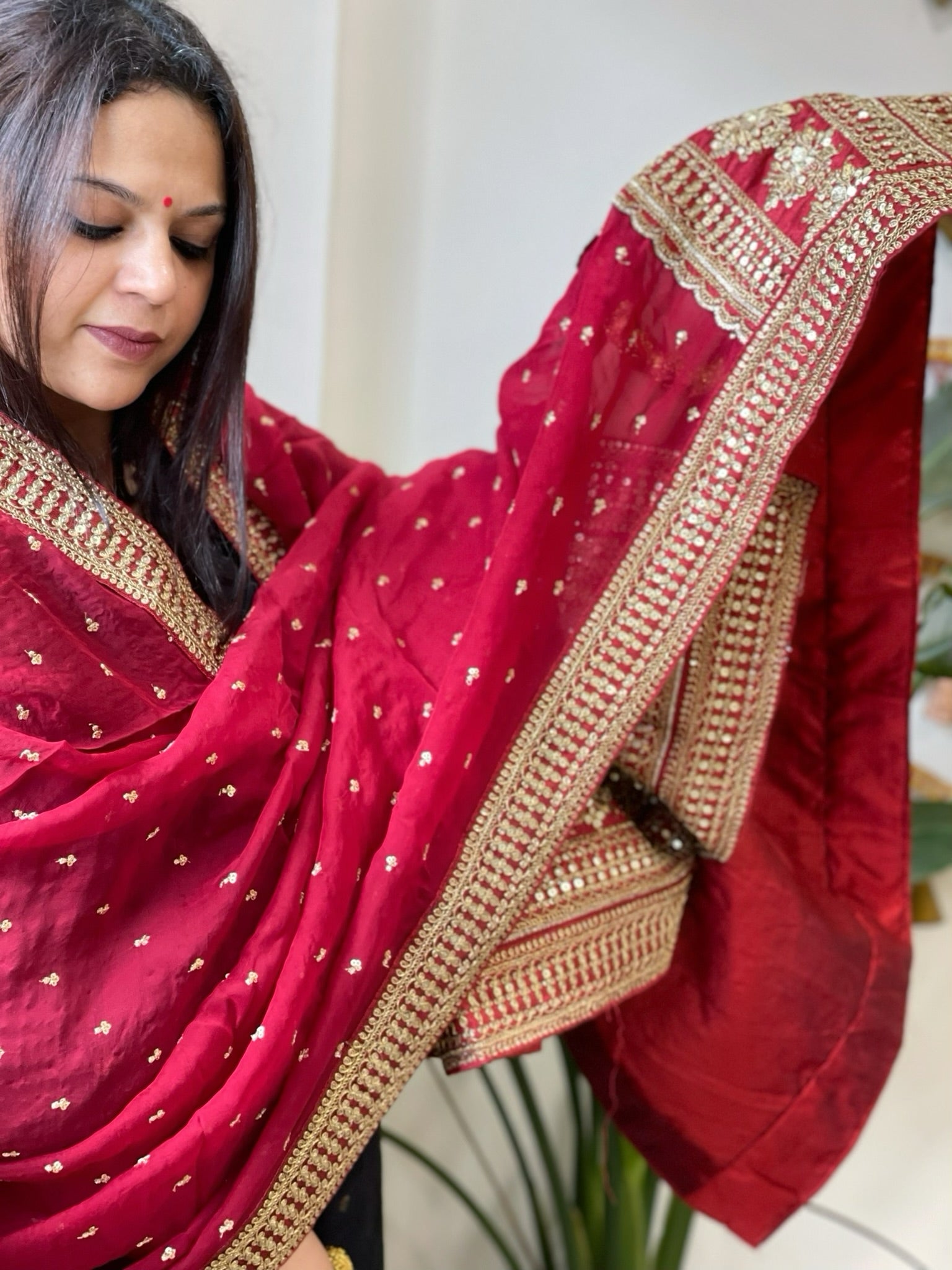 Maroon Chinon Dupatta with Sequin and Aari Embroidery - Masakalee