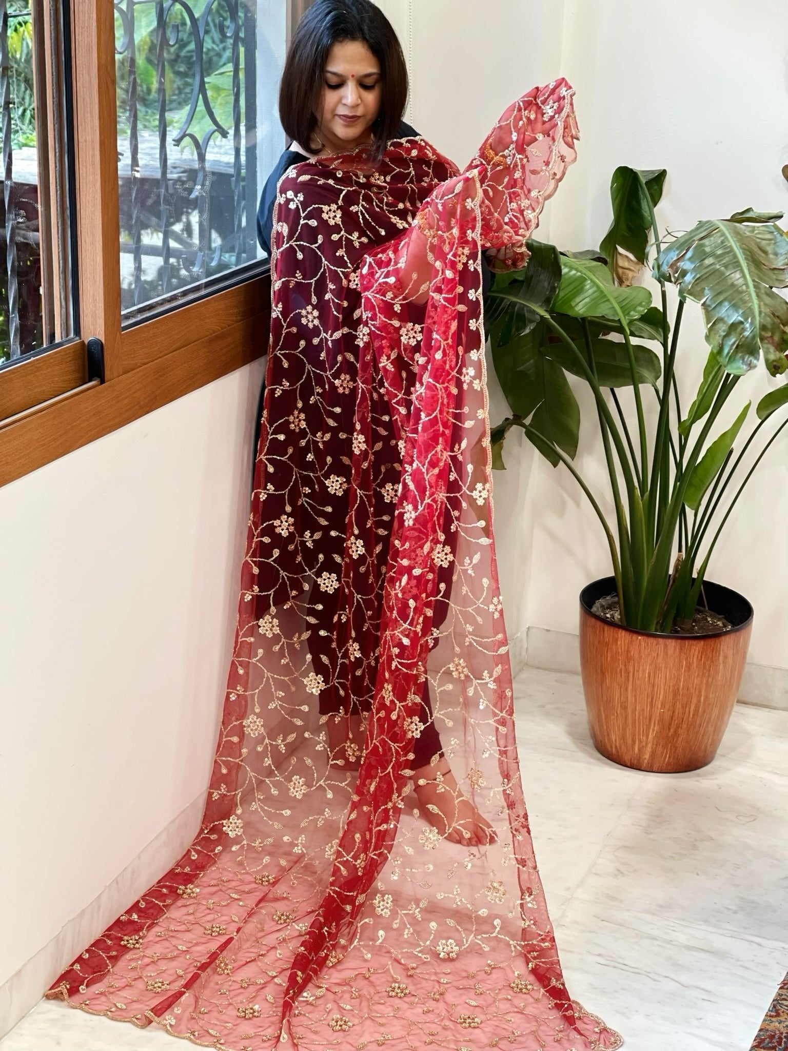 Maroon Net Dupatta with Sequin and Cut Daana Embroidery - Masakalee