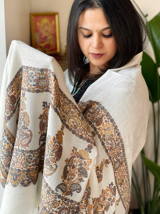 Off - White Woven Pashmina Shawl with Self and Kaani Pallu - Masakalee