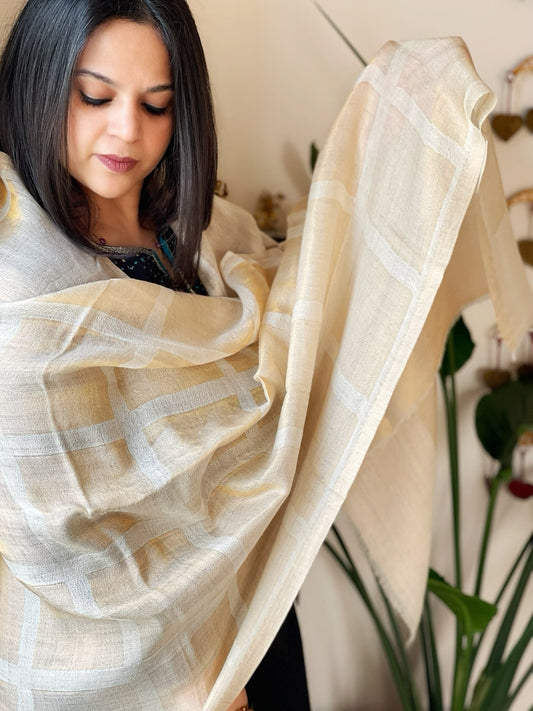 Off - White Woven Zari Pashmina Check Design Stole - Masakalee