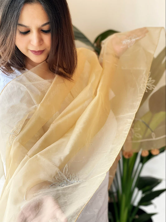 Organza Dupatta with Cut Daana Handwork - Masakalee