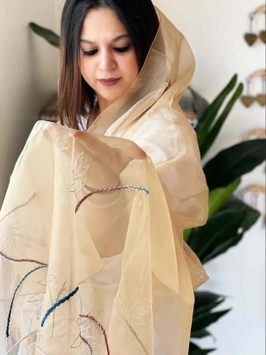 Organza Dupatta with Cut Daana Handwork - Masakalee