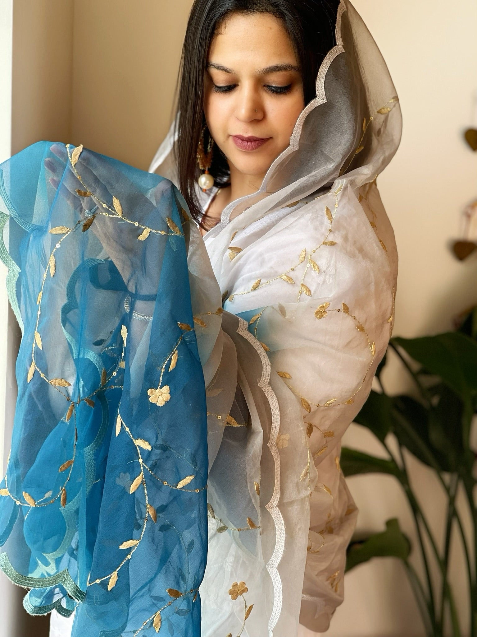 Organza dupatta with Tissue Applique and Sequin Handwork - Masakalee