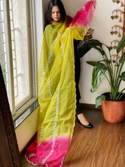 Organza dupatta with Tissue Applique and Sequin Handwork - Masakalee