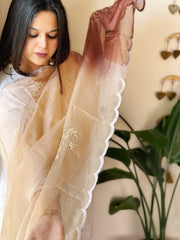 Organza dupatta with Tissue Applique and Sequin Handwork - Masakalee