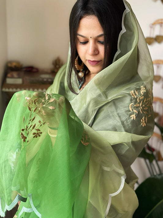 Organza dupatta with Tissue Applique and Sequin Handwork - Masakalee