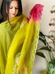 Organza dupatta with Tissue Applique and Sequin Handwork - Masakalee