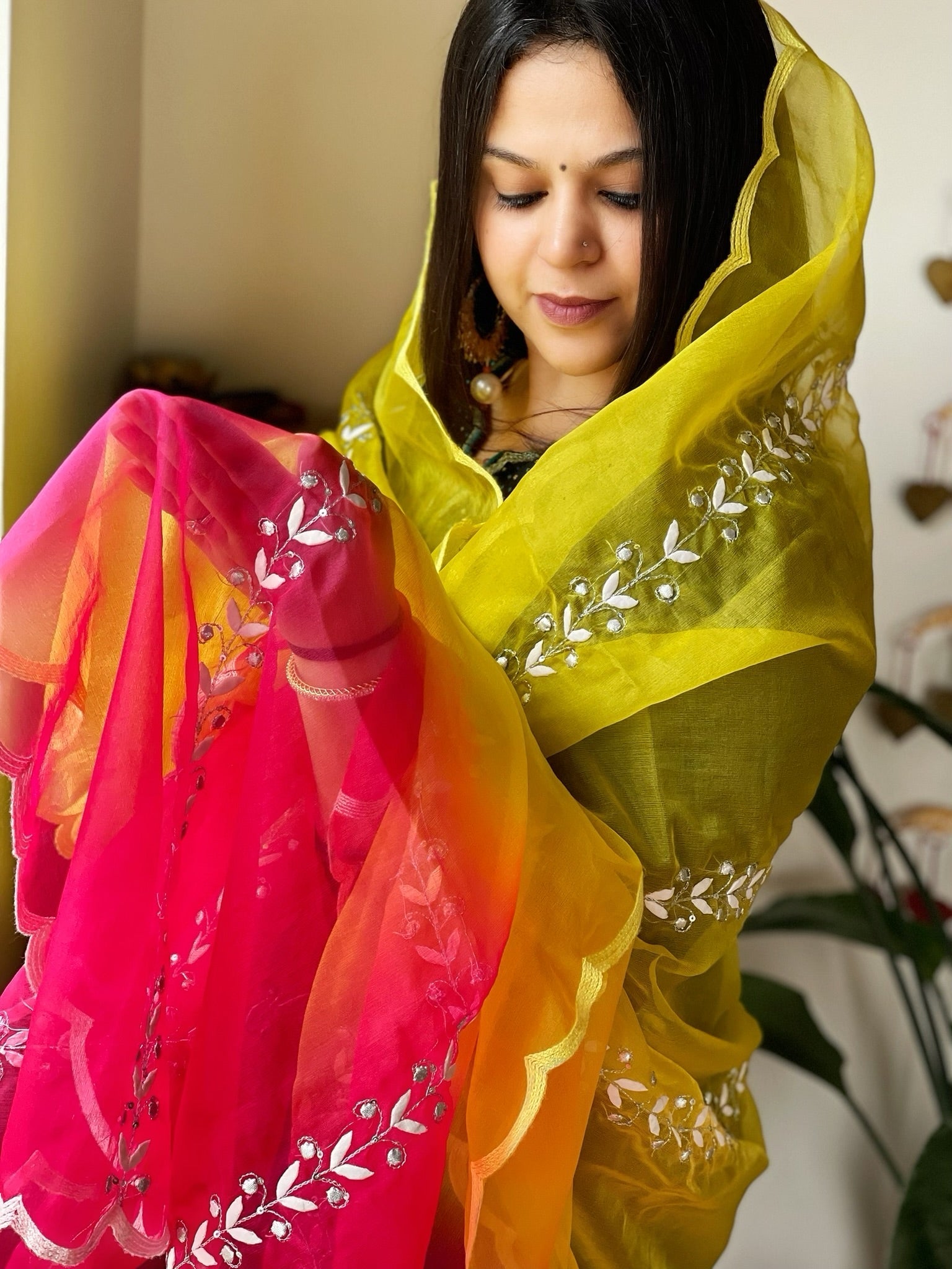 Organza dupatta with Tissue Applique and Sequin Handwork - Masakalee