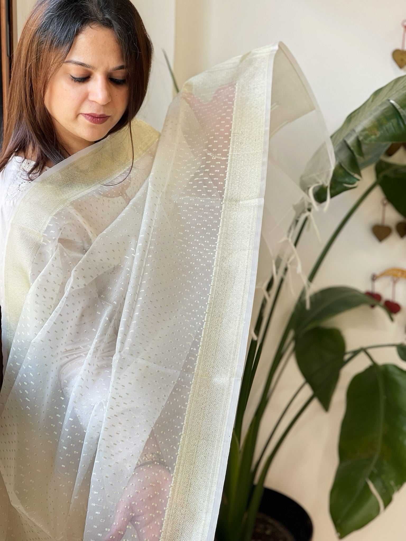 Organza Dupatta with Zari Weaving - Masakalee