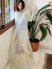 Organza Dupatta with Zari Weaving - Masakalee