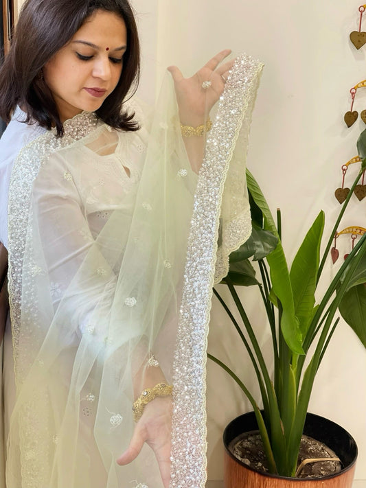 Pista Green Net Dupatta with Sequin and Pearl Embroidery - Masakalee
