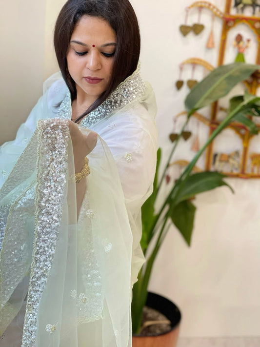 Pista Green Net Dupatta with Sequin and Pearl Embroidery - Masakalee