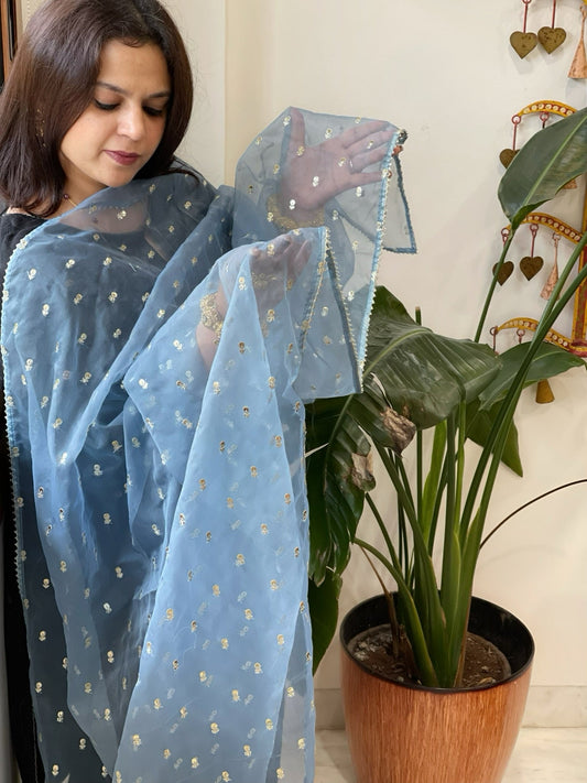 Powder Blue Organza Dupatta with Pitta Work Butas and Gota Lace Border - Masakalee