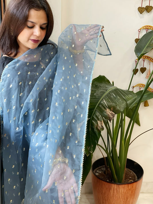 Powder Blue Organza Dupatta with Pitta Work Butas and Gota Lace Border - Masakalee