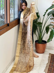 Printed Kota Tissue Dupatta with Zari Border - Masakalee