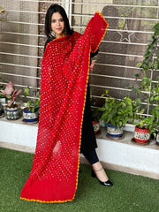 Pure Cotton Bandhej Dupatta - Masakalee