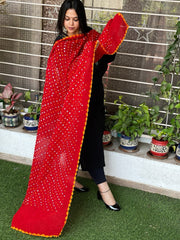 Pure Cotton Bandhej Dupatta - Masakalee