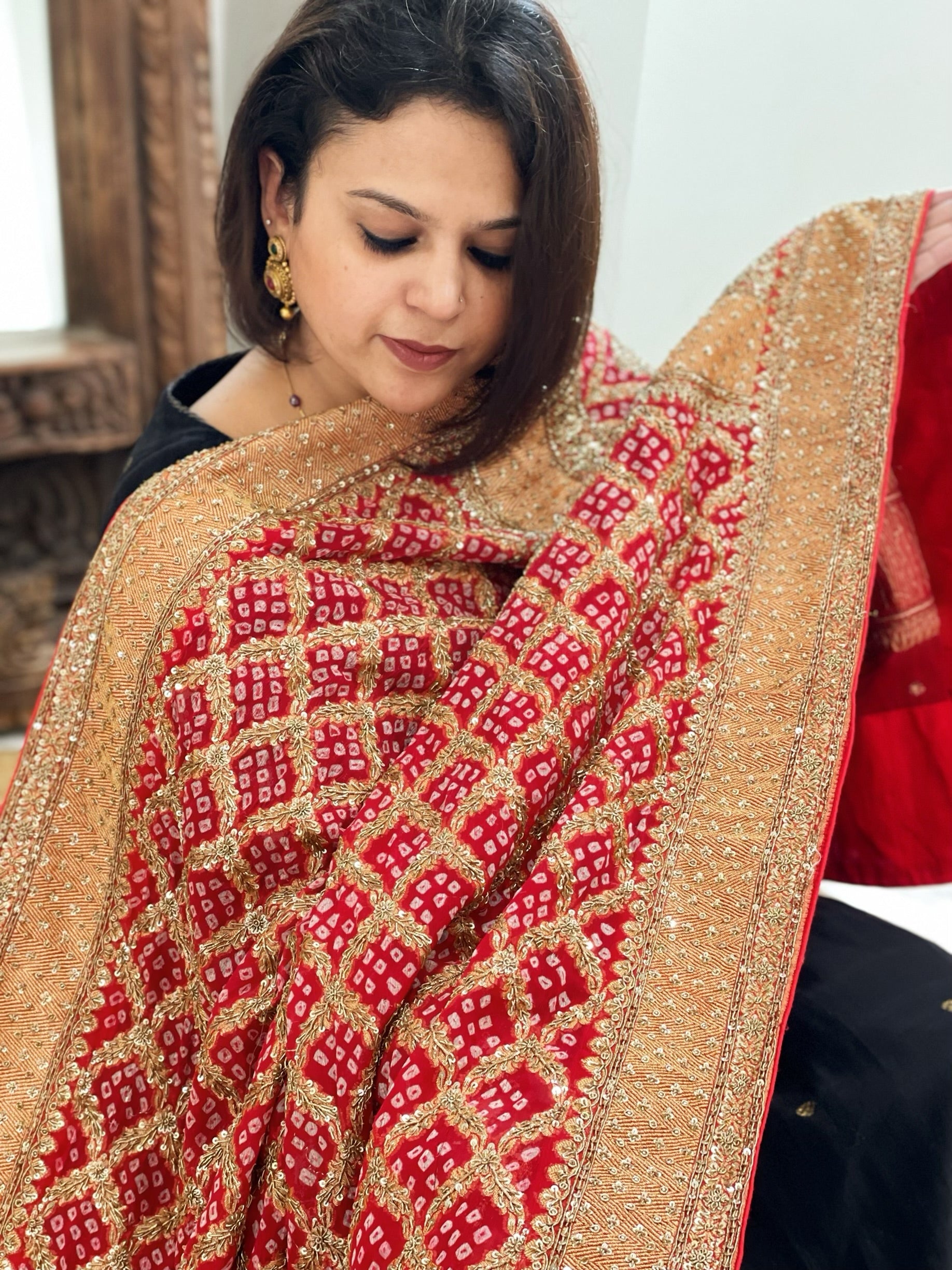 Red Handwoven NeemZari Bareek Bandhani with Meenakari and Dabka Handwork in Pure Georgette - Masakalee