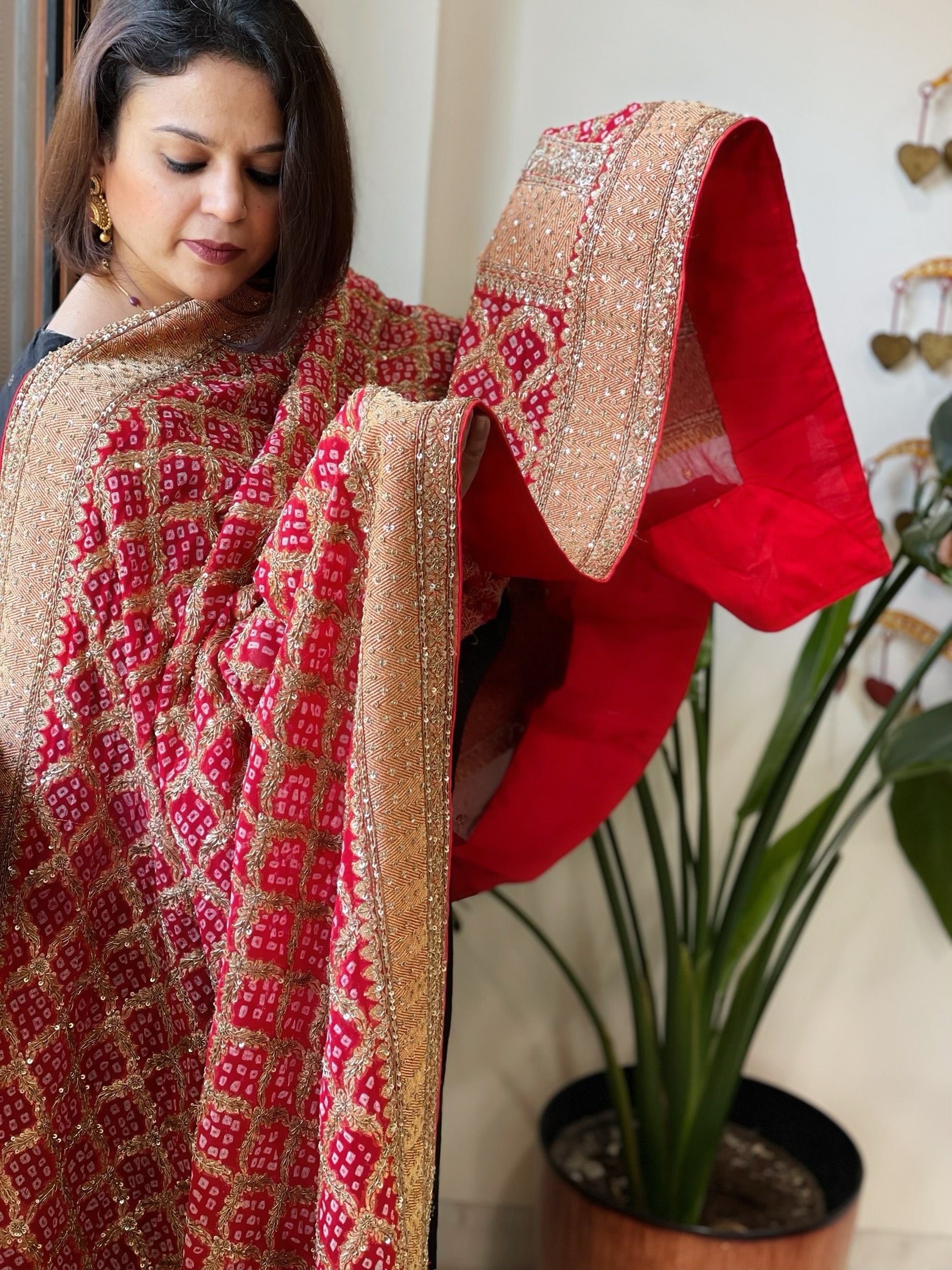 Red Handwoven NeemZari Bareek Bandhani with Meenakari and Dabka Handwork in Pure Georgette - Masakalee