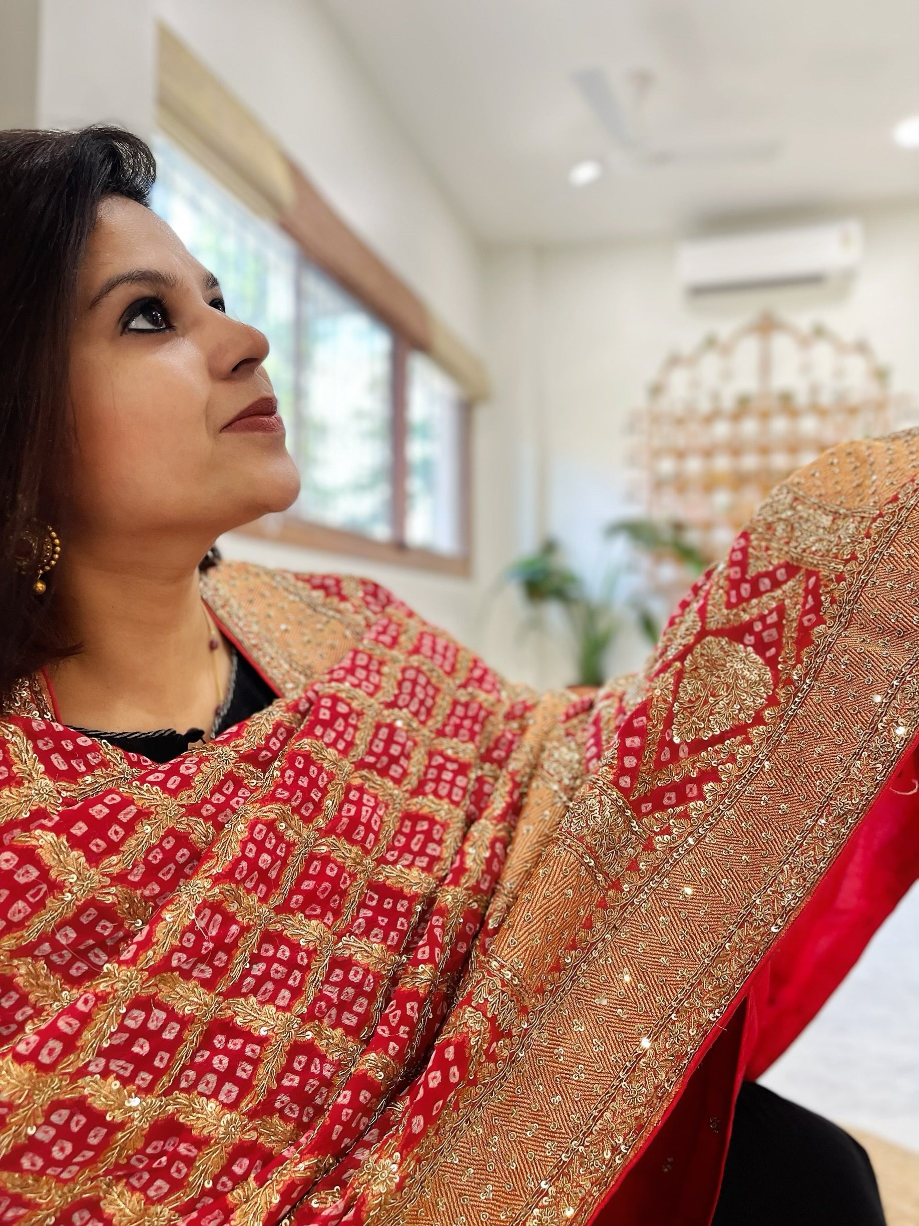 Red Handwoven NeemZari Bareek Bandhani with Meenakari and Dabka Handwork in Pure Georgette - Masakalee