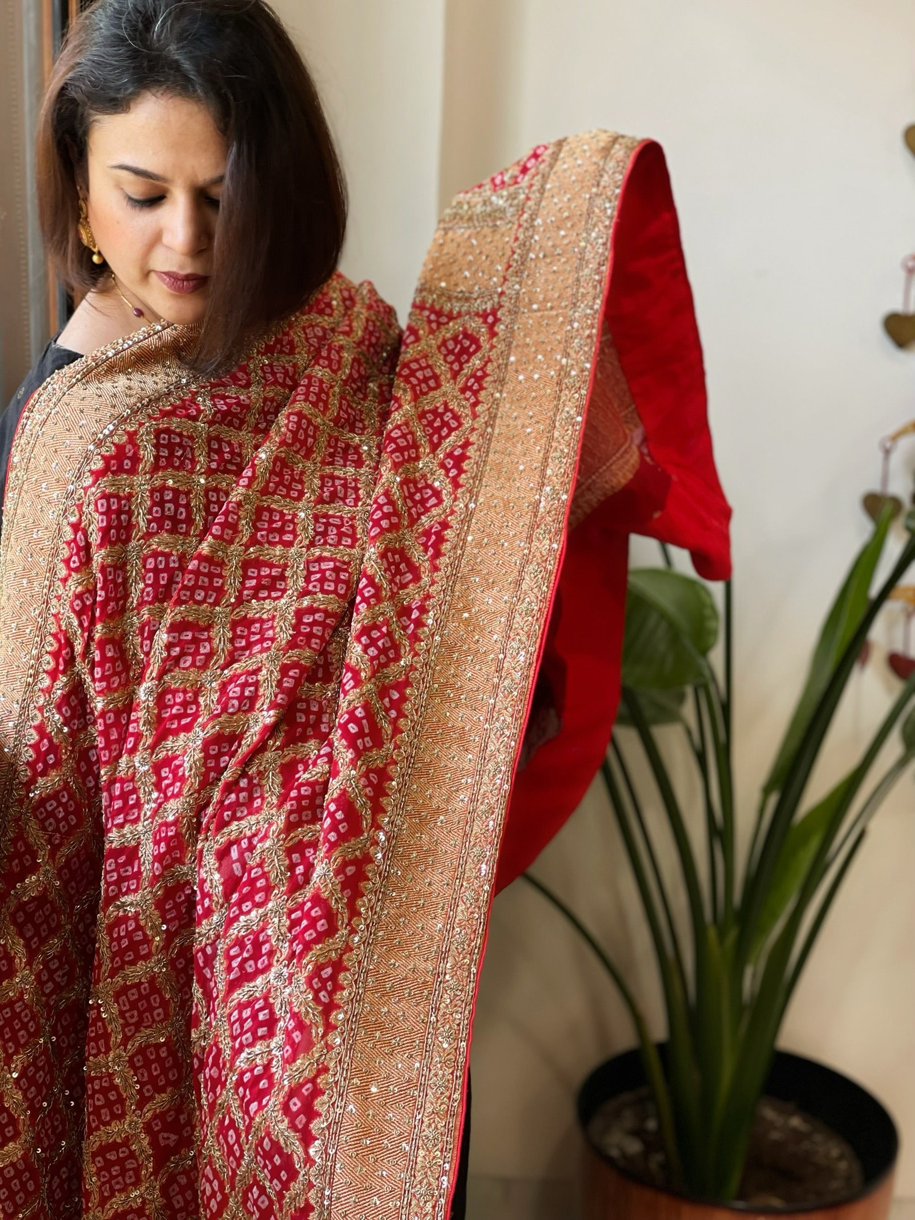 Red Handwoven NeemZari Bareek Bandhani with Meenakari and Dabka Handwork in Pure Georgette - Masakalee