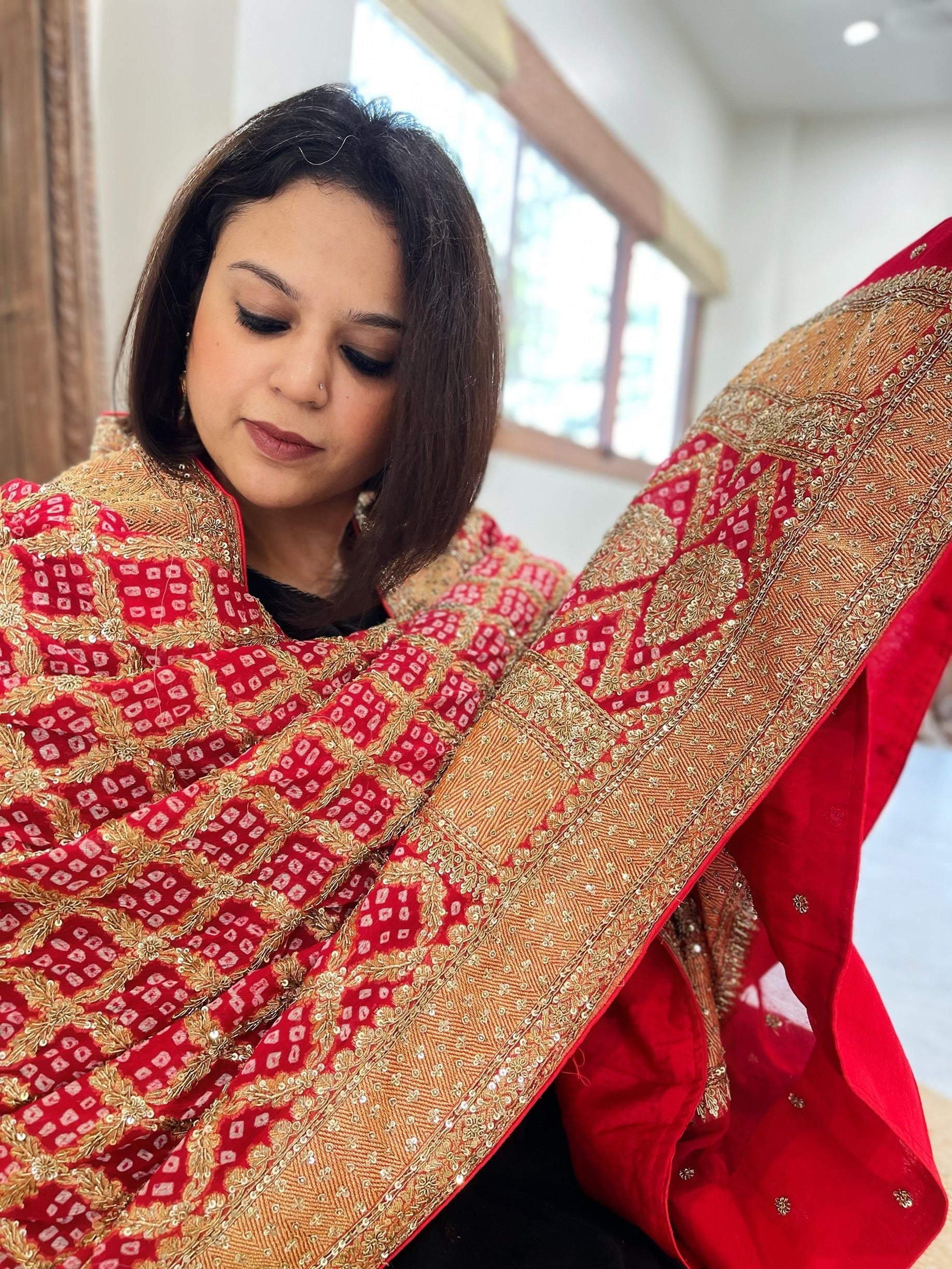 Red Handwoven NeemZari Bareek Bandhani with Meenakari and Dabka Handwork in Pure Georgette - Masakalee