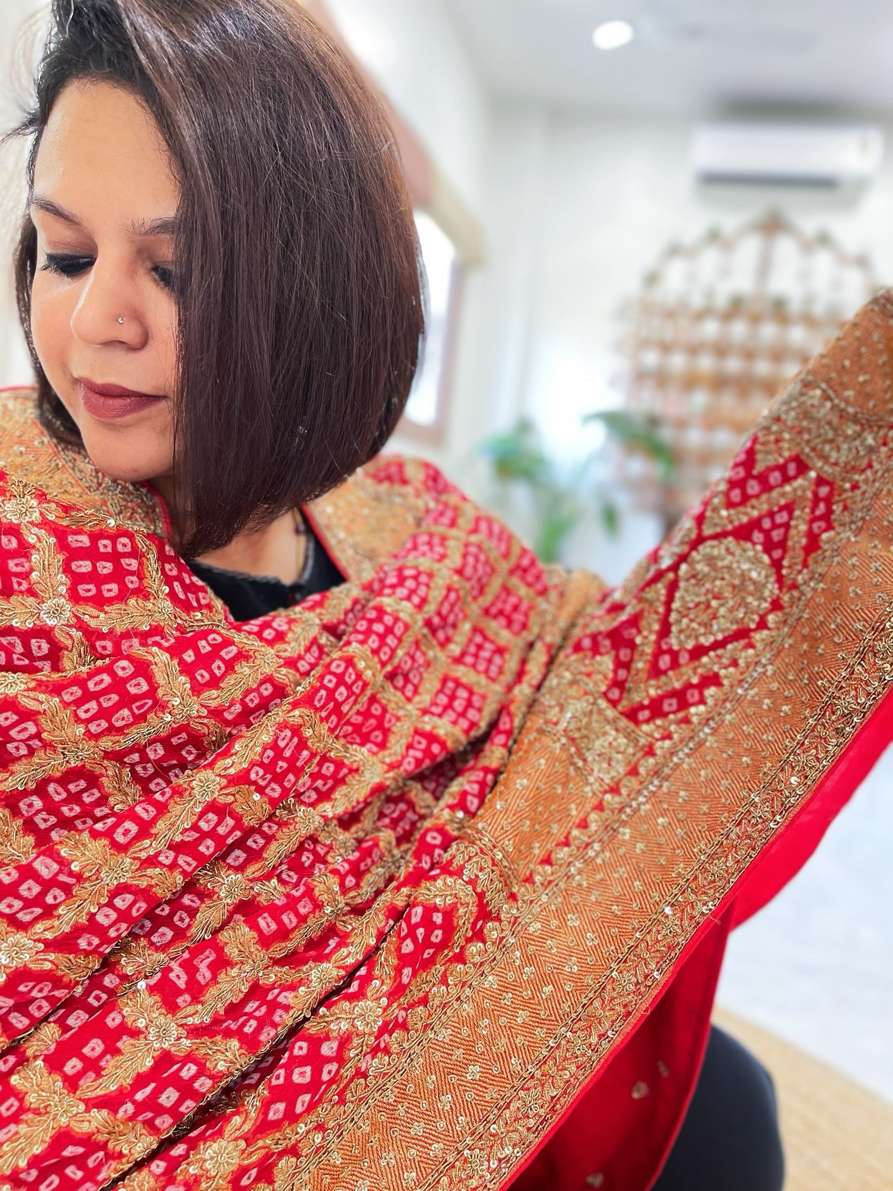 Red Handwoven NeemZari Bareek Bandhani with Meenakari and Dabka Handwork in Pure Georgette - Masakalee